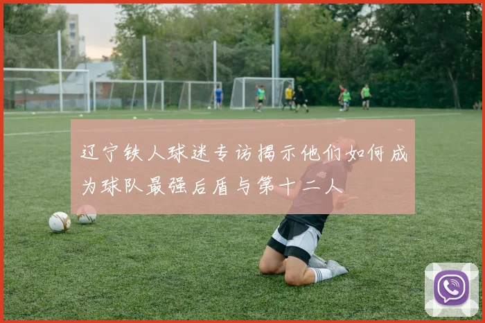 辽宁铁人球迷专访揭示他们如何成为球队最强后盾与第十二人