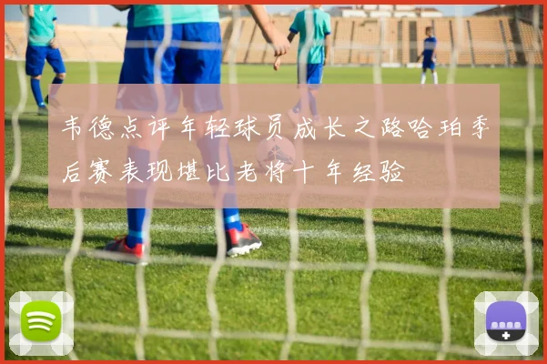 韦德点评年轻球员成长之路哈珀季后赛表现堪比老将十年经验