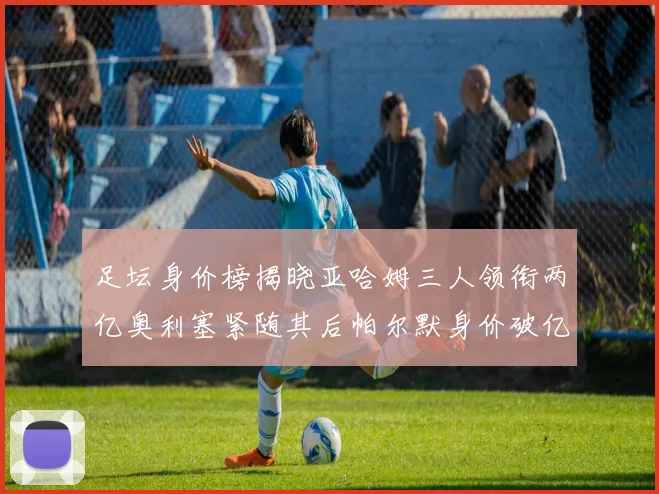足坛身价榜揭晓亚哈姆三人领衔两亿奥利塞紧随其后帕尔默身价破亿