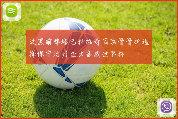 波黑前锋塔巴科维奇因跖骨骨折选择保守治疗全力备战世界杯
