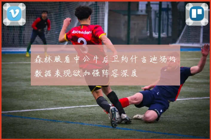 森林狼看中公牛后卫约什吉迪场均数据表现欲加强阵容深度